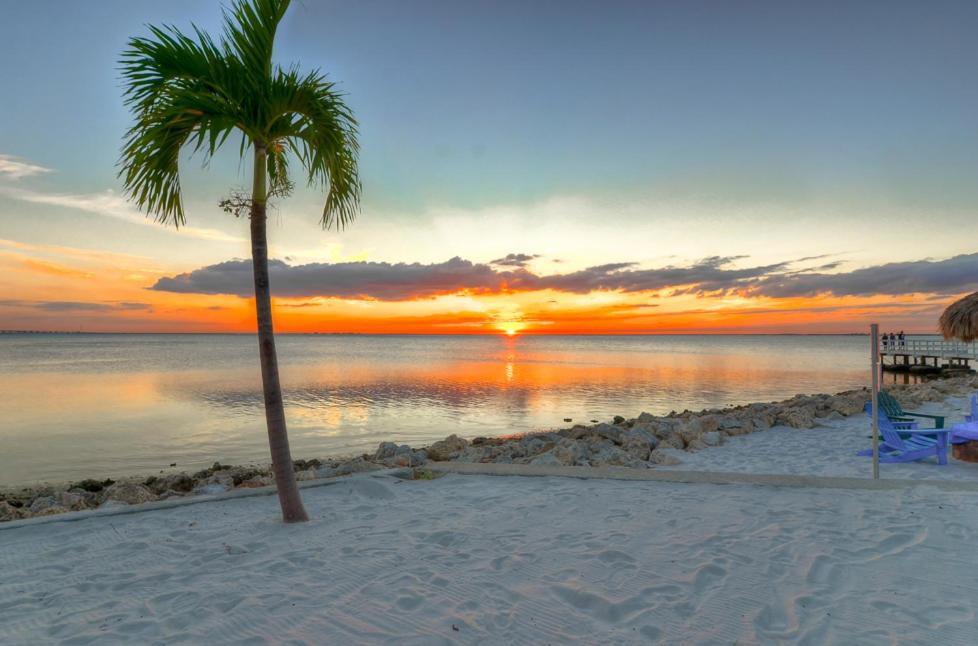 441-Waterfront, Amazing Views, Wifi, Pool And Close To Bucs Stadium タンパ エクステリア 写真