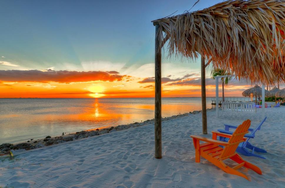 441-Waterfront, Amazing Views, Wifi, Pool And Close To Bucs Stadium タンパ エクステリア 写真